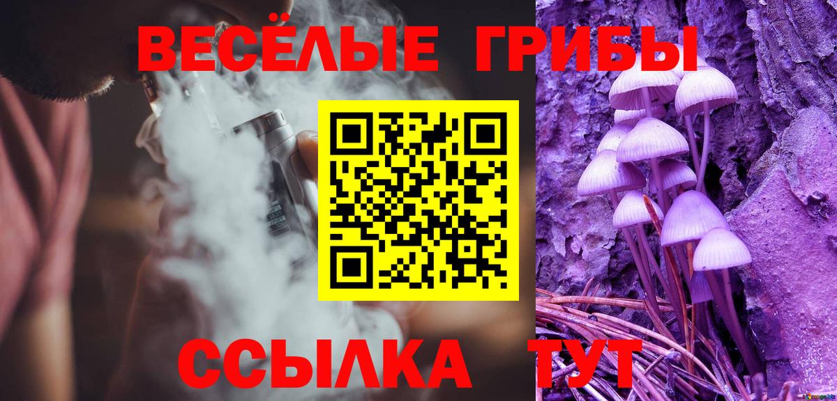 Псилоцибиновые грибы Psilocybe  Вход с VPN  Железноводск  Псилоцибиновые грибы Psilocybine cubensis 